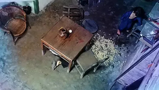 tutkunun meyveleri 1981