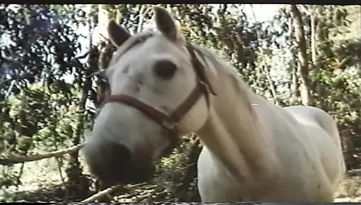 Pornonun Altın Çağı - Desiree Cousteau
