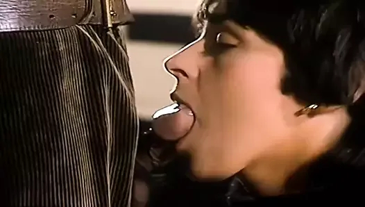 chambres d amis tres partikülleri (1980)