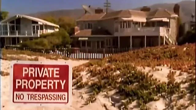 tehlikeli davet (1998)